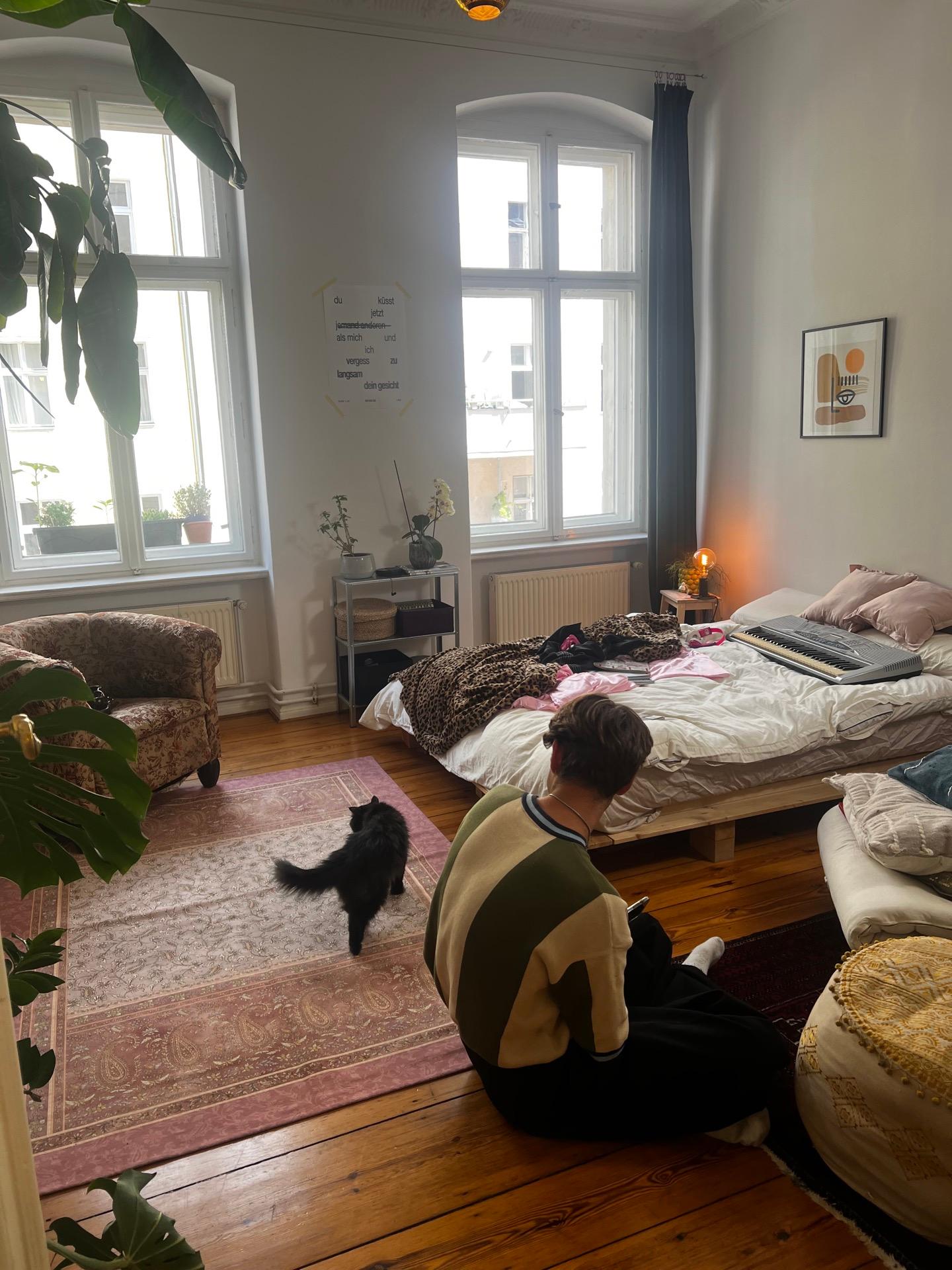 Behind the Scenes: Kamera auf einem Dolly mit Schienen