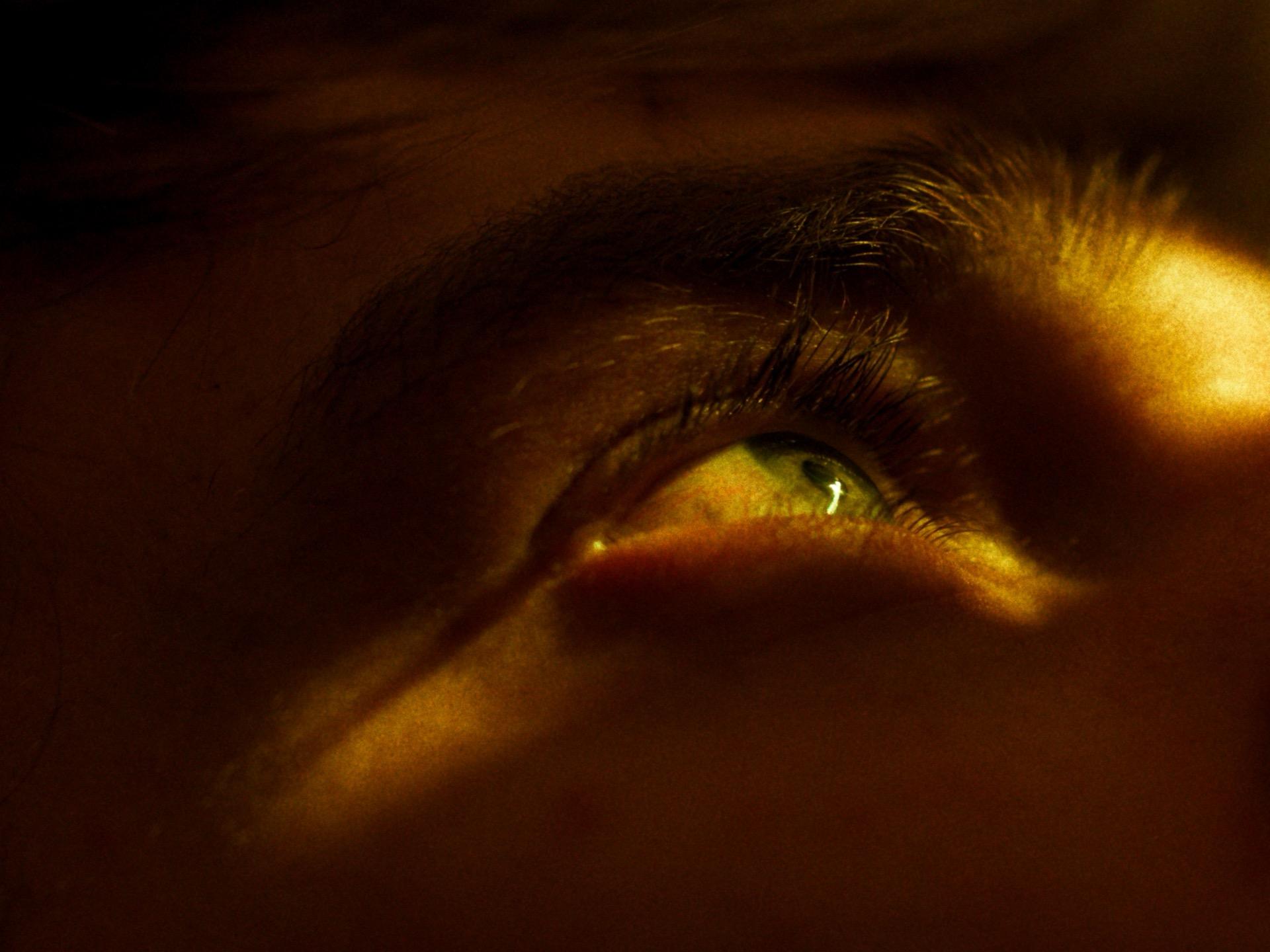 Extreme Nahaufnahme der Augen im warmen Gegenlicht